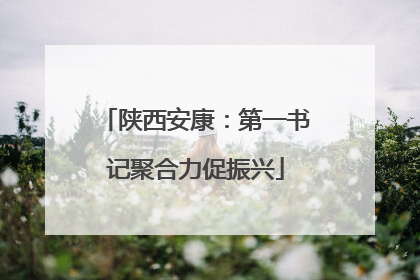 陕西安康：第一书记聚合力促振兴